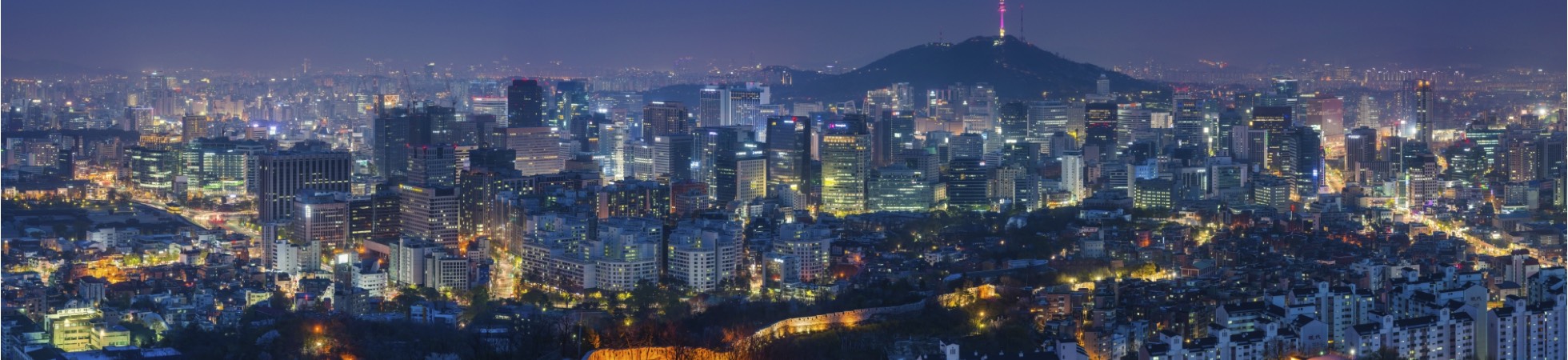 panoramic city view